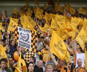 Rompicapo di Bandiera di Wolverhampton Wanderers F.C.