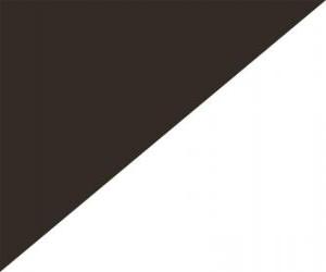 Rompicapo di Bandiera nera e bianca in diagonale per avvertire un autista per comportamento antisportivo