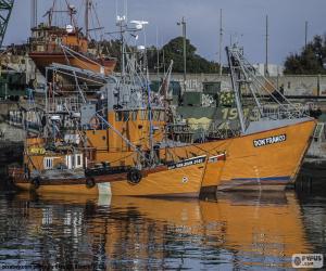 Rompicapo di Barche per la pesca