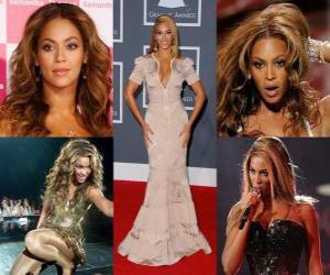 Rompicapo di Beyoncé il successo del suo album da solista l'ha stabilito come uno degli artisti più commerciali nel settore della musica