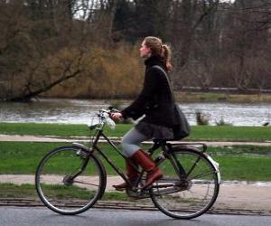 Rompicapo di Bicicletta con il suo proprietario