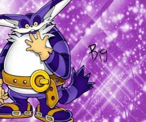 Rompicapo di Big the Cat, il grande gatto che compare nelle avventure di Sonic