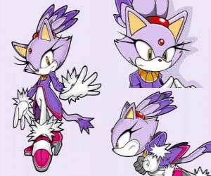 Rompicapo di Blaze the Cat, una princesa i una de les amigues de Sonic