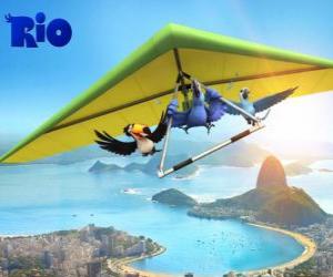 Rompicapo di Blu ara, tucano Rafael Jewel e un deltaplano volare sopra la città di Rio de Janeiro
