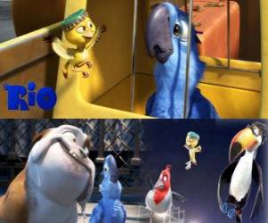 Rompicapo di Blu insieme ad altri personaggi nel film Rio