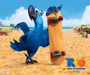 Rompicapo di Blu è un ara divertente e il protagonista principale del film Rio