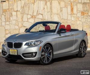 Rompicapo di BMW serie 2 Cabrio 2015