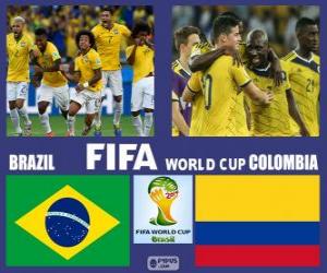 Rompicapo di Brasile - Colombia, quarti di finale, Brasile 2014
