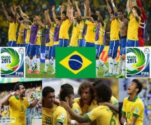 Rompicapo di Brasile FIFA Confederations Cup 2013
