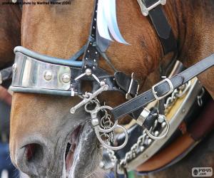 Rompicapo di Briglia di un cavallo