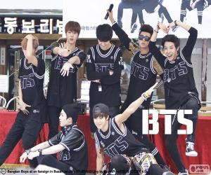 Rompicapo di BTS, Bangtan Boys