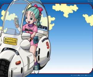 Rompicapo di Bulma con la sua bicicletta