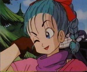 Rompicapo di Bulma, figlia di una delle menti più brillanti del mondo, raggiunge le sue orecchie la leggenda del Sfere del Drago e decide di trovare