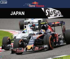 Rompicapo di C. Sainz Jr., GP Giappone 2016