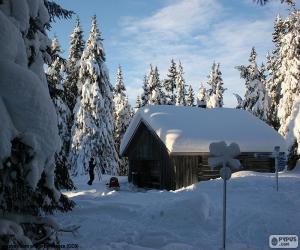 Rompicapo di Cabina di legno una forte nevicata