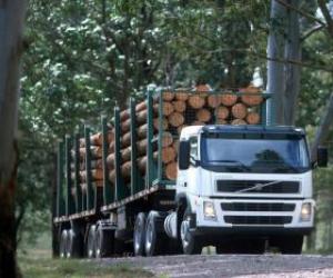 Rompicapo di Camion trasporto di tronchi
