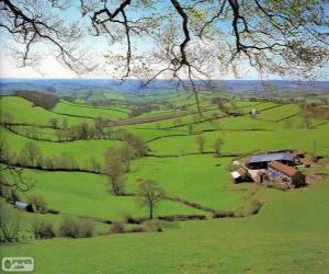 Rompicapo di Campagna del Devon, Gran Bretagna