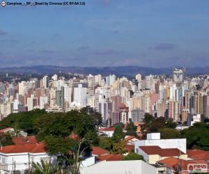 Rompicapo di Campinas, Brasile