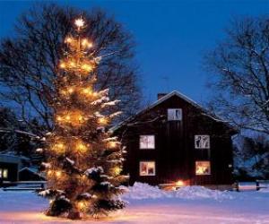 Rompicapo di Casa con un grande albero di Natale decorato in giardino