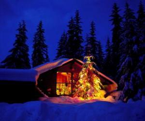 Rompicapo di Casa con un grande albero di Natale decorato in il giardino