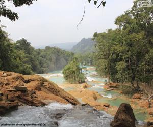 Rompicapo di Cascate dell'Acqua Blu, Messico