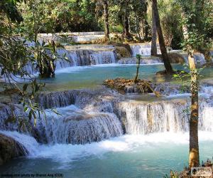 Rompicapo di Cascate di Kuang Si, Laos