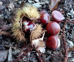 Rompicapo di Castagne