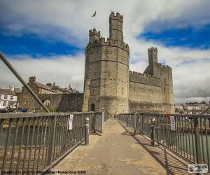 Rompicapo di Castello di Caernarfon, Galles