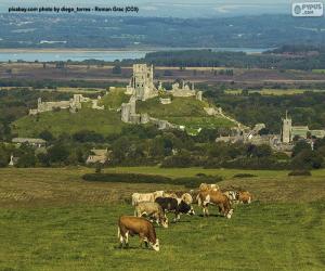 Rompicapo di Castello di Corfe, Inghilterra