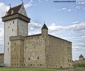 Rompicapo di Castello di Hermann, Estonia