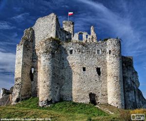 Rompicapo di Castello di Mirów, Polonia