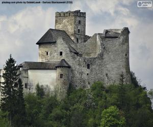 Rompicapo di Castello di Niedzica