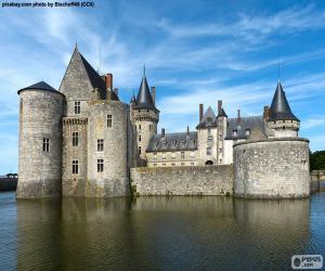 Rompicapo di Castello di Sully-sur-Loire, Francia