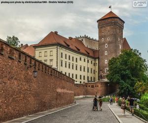 Rompicapo di Castello di Wawel, Polonia