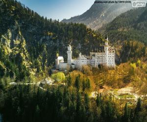 Rompicapo di Castello nella foresta