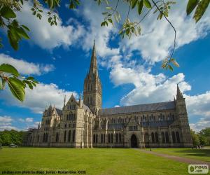 Rompicapo di Cattedrale di Salisbury, ENG