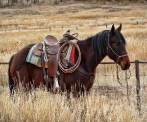 Rompicapo di Cavallo di un cowboy