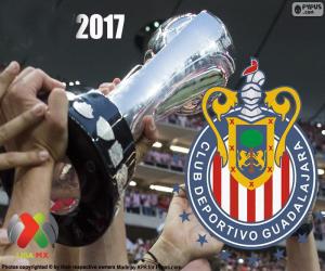 Rompicapo di C.D. Guadalajara, campione Clausura 2017