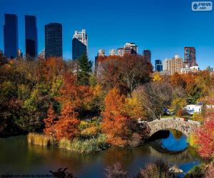 Rompicapo di Central Park, New York