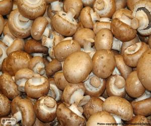 Rompicapo di Champignon