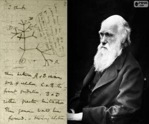 Rompicapo di Charles Darwin (1809-1882), biologo britannico