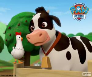 Rompicapo di Chickaletta e Bettina PAWPatrol