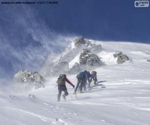 Rompicapo di Cinque alpinisti