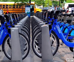 Rompicapo di Citi Bike, New York