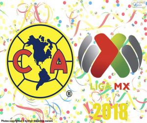 Rompicapo di Club America, campione di Apertura 2018