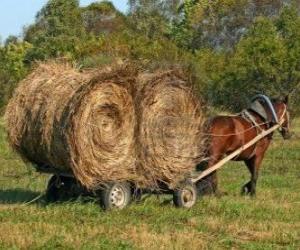 Rompicapo di Coltivatore con un carrello trainato da cavalli