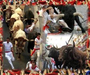 Rompicapo di Corsa dei tori o encierro, Sanfermines. Pamplona, &#8203;&#8203;Navarra, Spagna. Feste di San Firmino dal 6 al 14 luglio