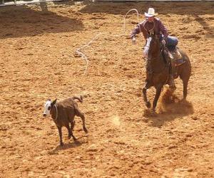 Rompicapo di Cowboy che monta un cavallo e che interferisce una testa del bestiame con il lasso