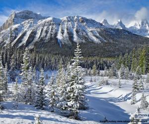 Rompicapo di Crowfoot Mountain, Canada