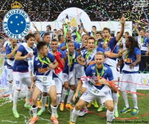 Rompicapo di Cruzeiro campione 2014